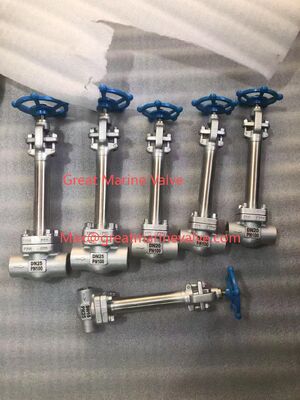 Η βαλβίδα κρυογενούς σφαίρας μακράς ράβδου SUS, ΚΑΣΤ ΣΤΕΛ -196